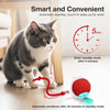 Interactive Chirping Cat Toy Ball with Motion Activation