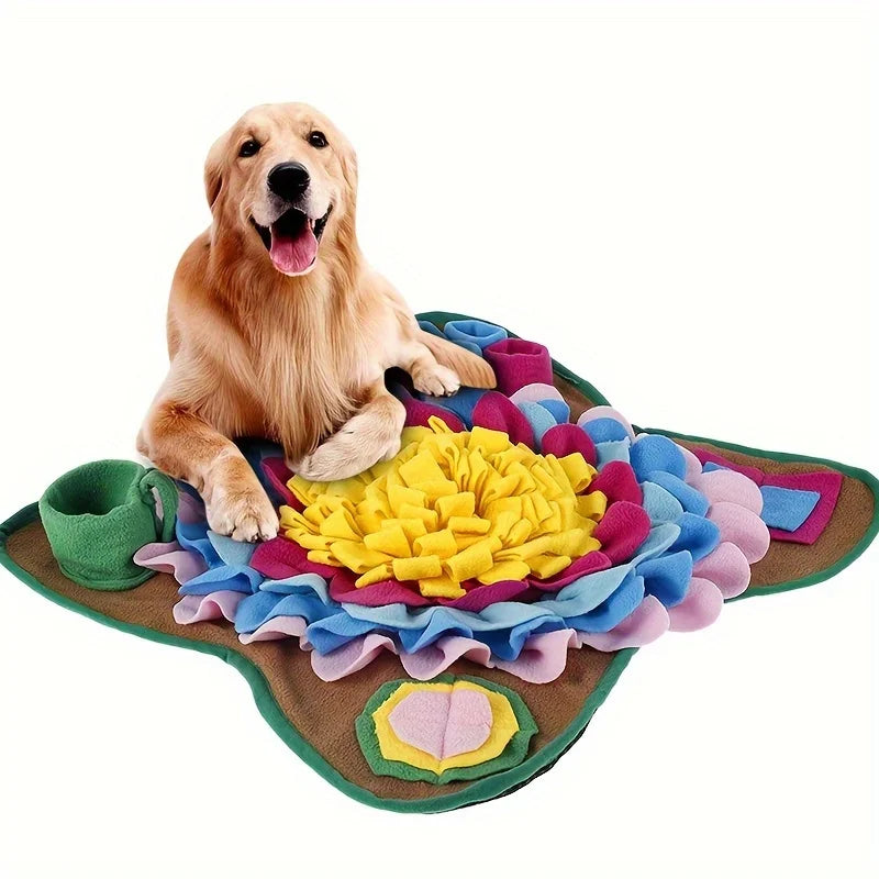 Goldener Retriever liegt auf einer bunten Matte zum Schnüffeln und langsamen Füttern.