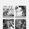 Detachable Washable Pet Stairs for Bed & Sofa