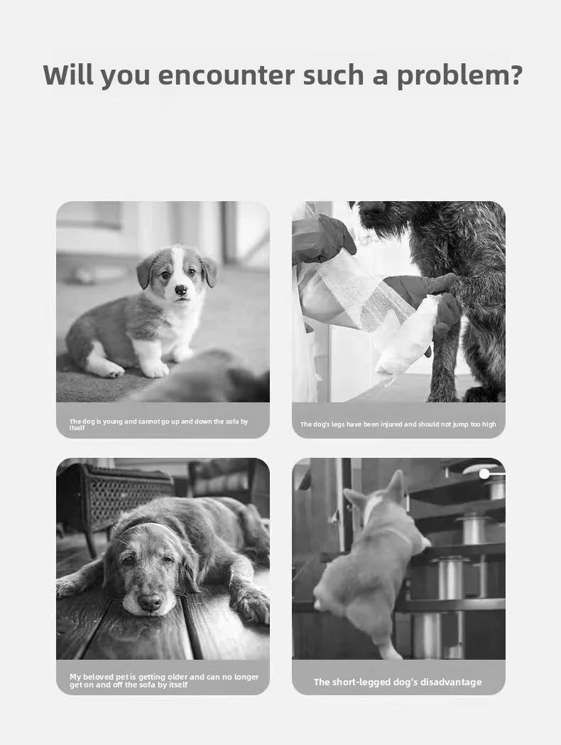 Detachable Washable Pet Stairs for Bed & Sofa