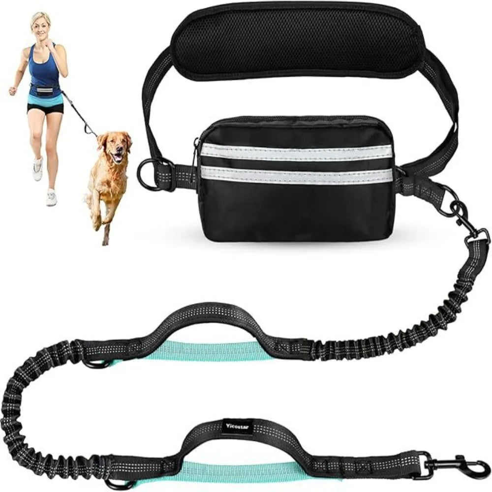 Correa de perro negra retráctil con bolsa de cremallera y asa flexible.