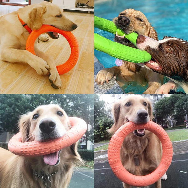 Anneau d'entraînement et disque volant en caoutchouc durable pour chien