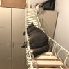 Wall-Mounted Cat Climbing Shelf Set with Hammock and Scratching Posts