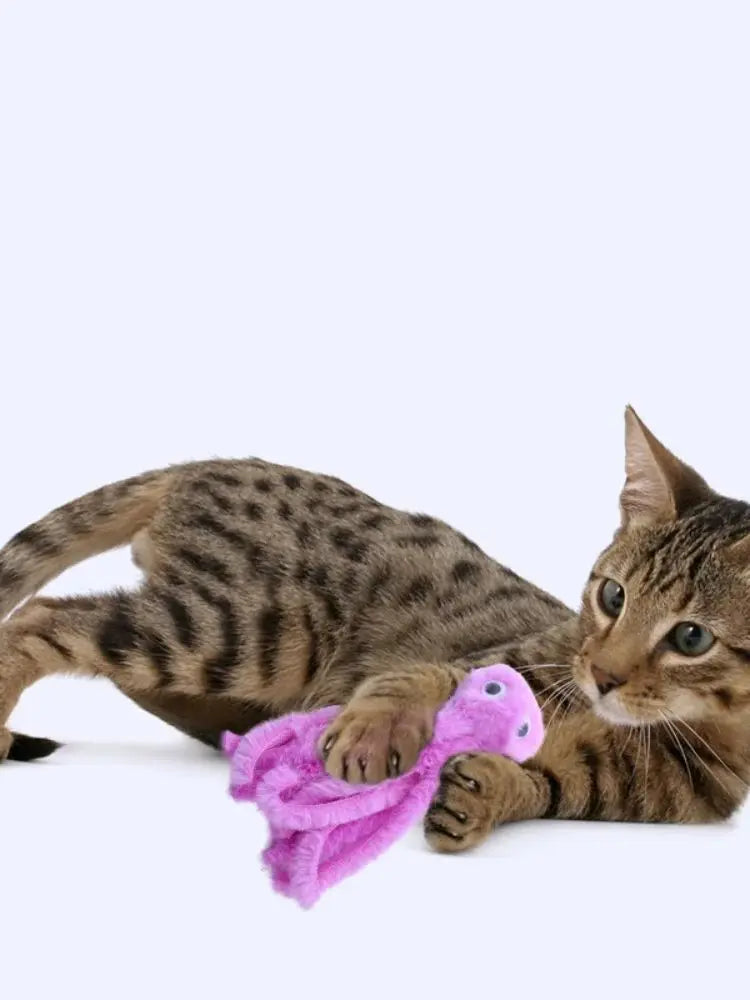 A tabby cat is lying down next to a bright pink octopus plush toy.