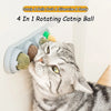 Edible Catnip Wall Balls for Dental Care and Play