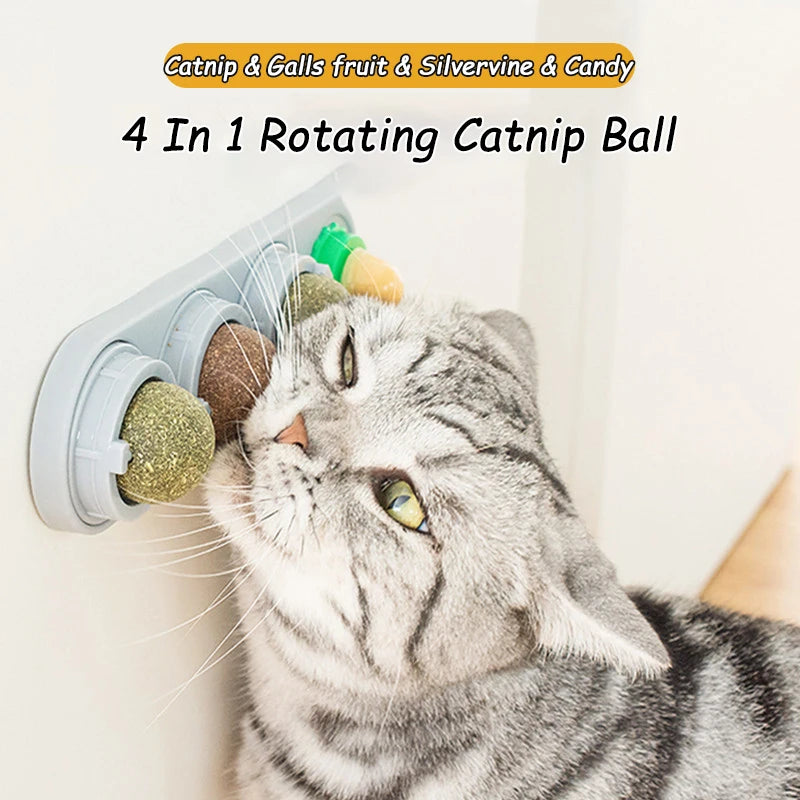 Edible Catnip Wall Balls for Dental Care and Play