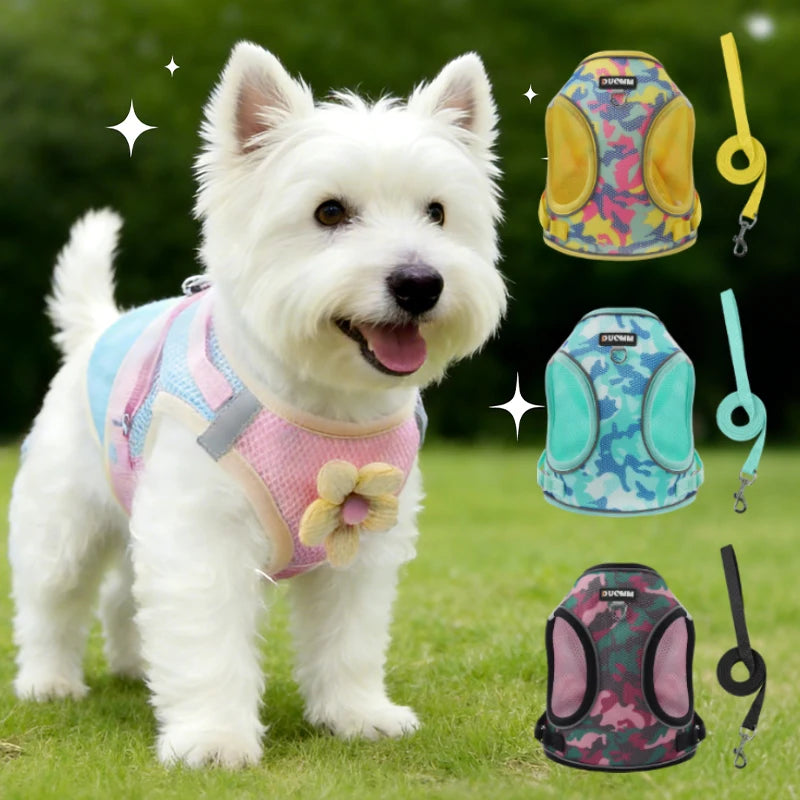 A white dog wearing a pink harness stands on green grass with various colored harnesses and leashes nearby.