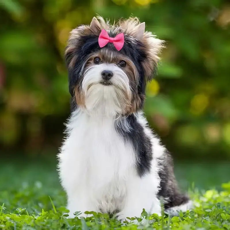 Handmade Dog Hair Bows with Rubber Bands - Colorful Wave & Flower Print Pet Grooming Accessories (50-Piece Set)
