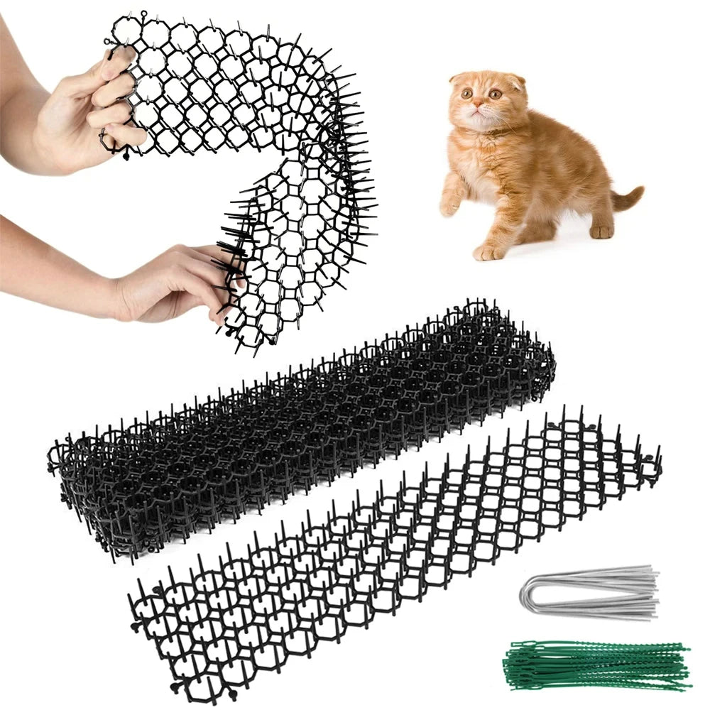 A hand is holding black prickly strips, with a cat nearby and various forms of the product shown.