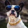 Adjustable Gold Chain Pet Necklace for Cats and Dogs