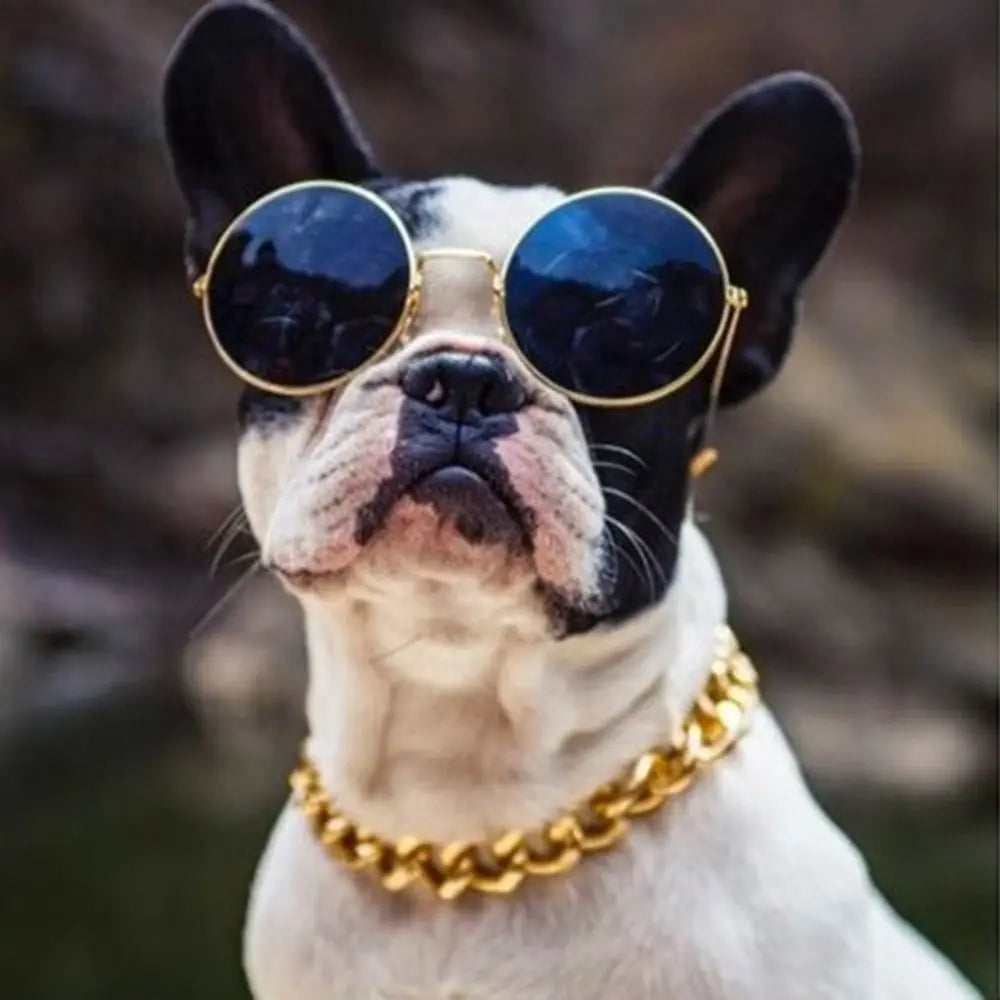 Adjustable Gold Chain Pet Necklace for Cats and Dogs
