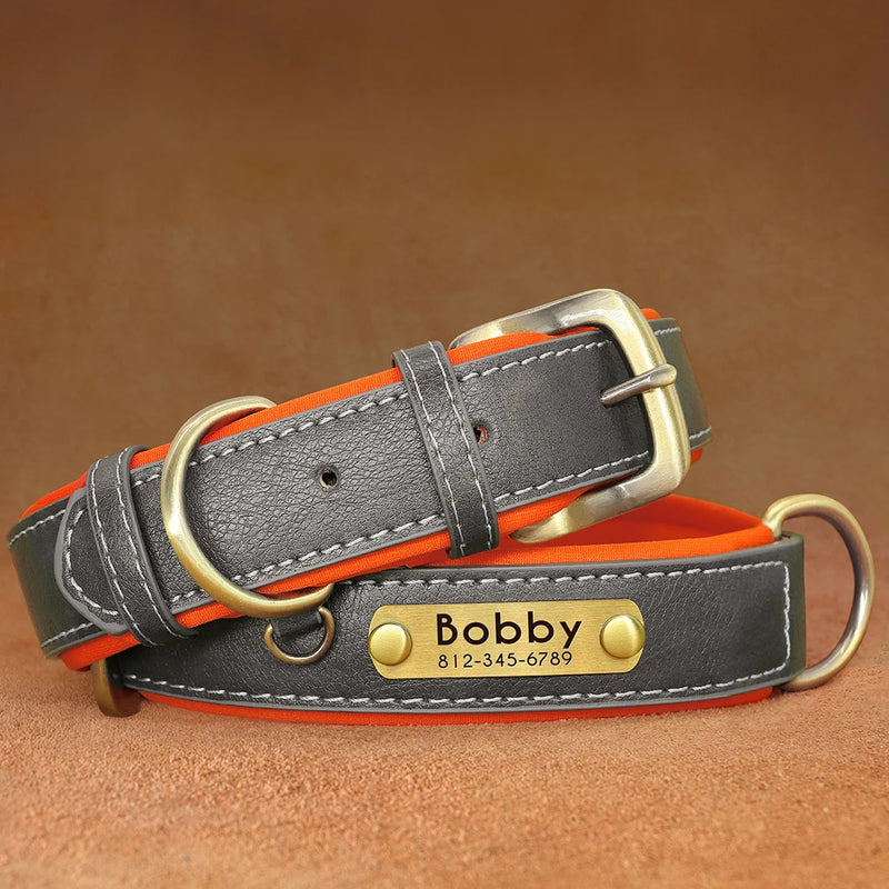 Personalisierte gepolsterte Leder-Hundehalsband mit graviertem Namensschild