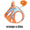 Orange and blue reflective no-pull dog harness with matching leash