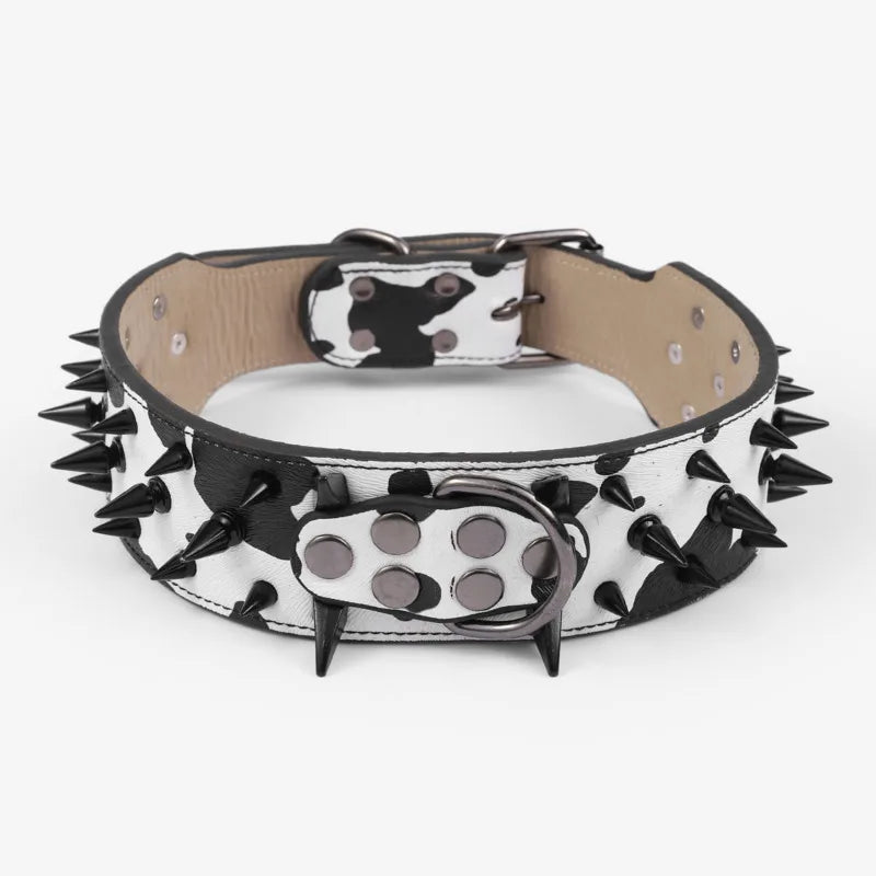 A black and white spiked leather dog collar for large breeds.