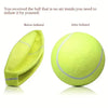 Giant 24cm Inflatable Tennis Ball Dog Toy with Pump