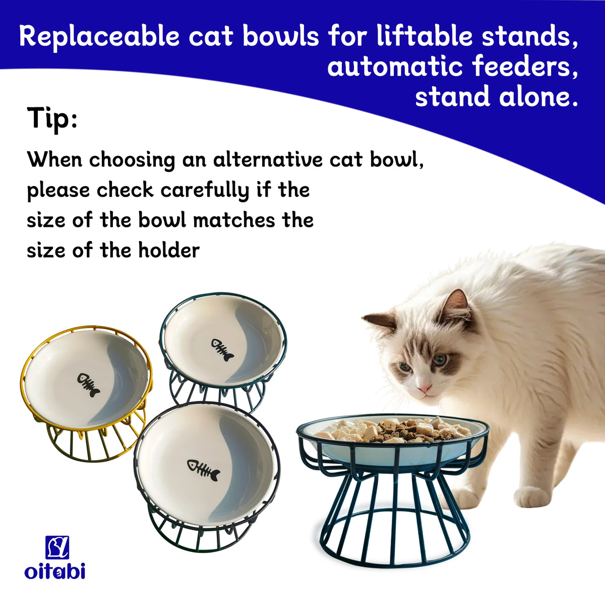 A white ceramic cat bowl with an anti-slip base is shown next to a fluffy white cat.