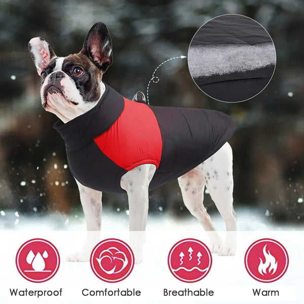 A dog wearing a red and black waterproof quilted jacket in a snowy outdoor setting.
