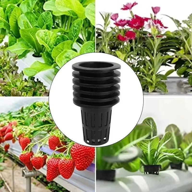 A black mesh net pot used for hydroponic plant cultivation is shown alongside various green plants and strawberries.