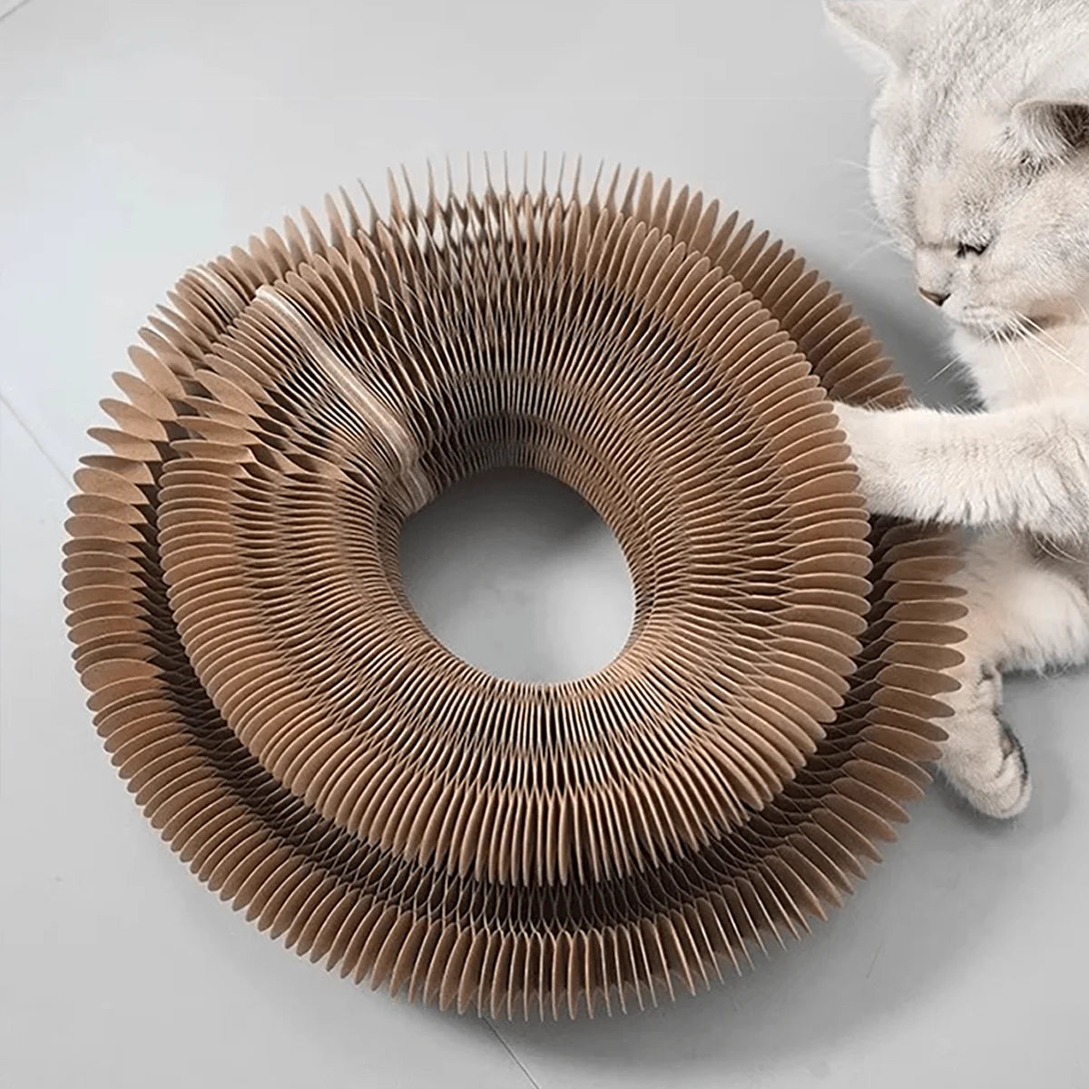 Foldable Corrugated Cat Scratcher with Bell and Catnip