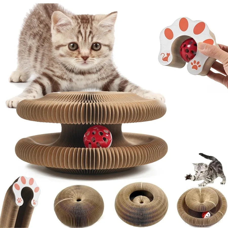 A tabby kitten is shown next to a round corrugated cat scratcher toy with a sisal surface and a paw-shaped object.
