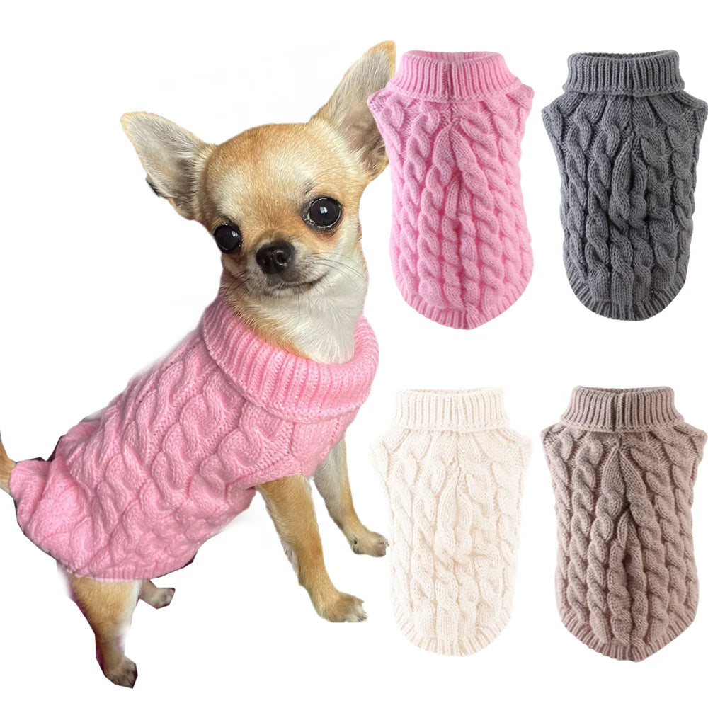 Un chihuahua portant un pull tricoté rose et plusieurs mitaines pour chiens tricotées gris et roses.