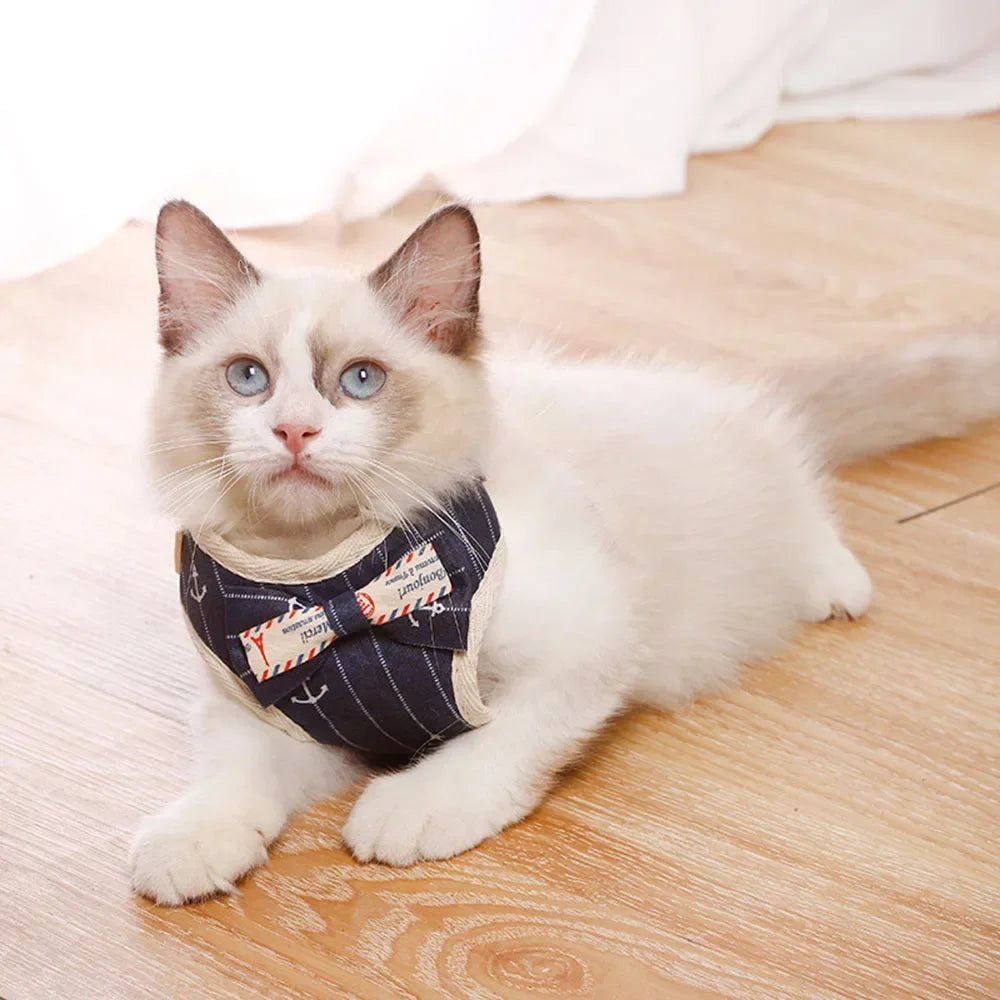 A white cat wearing a black bowknot harness and leash set lying on a wooden floor.
