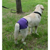 Reusable Dog Diapers for Heat Cycles and Incontinence
