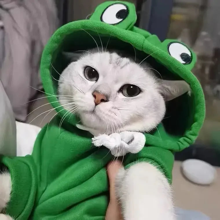Frog-Shaped Hoodie for Dogs and Cats