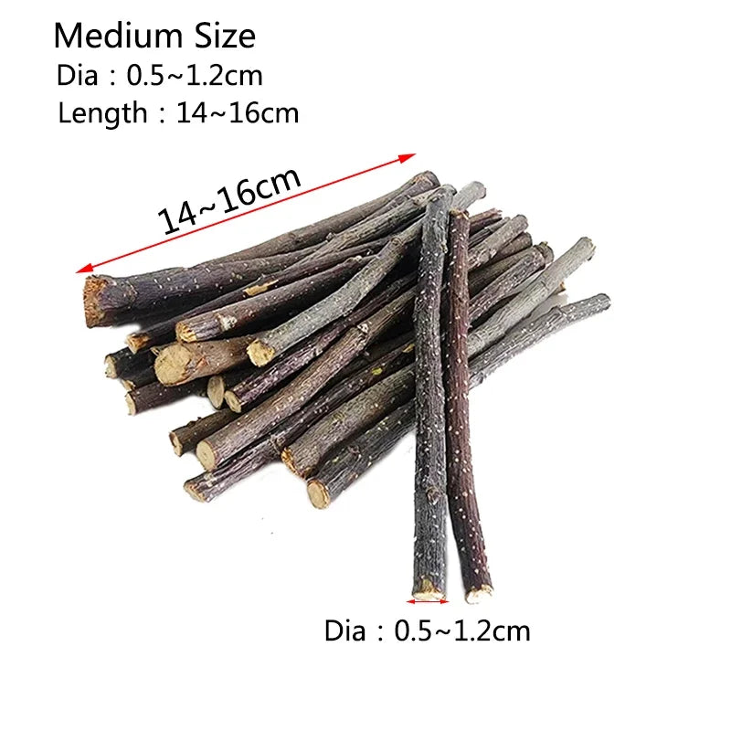 Bâtons de Mâche en Bois de Pommier Naturel pour Petits Animaux