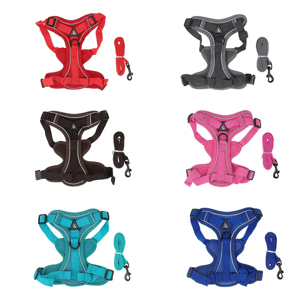 A collection of dog harnesses and leashes in red, gray, brown, pink, blue, and cyan colors.