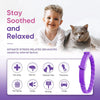 Un collar de mascota morado junto a un niño y un gato, ilustrando alivio del estrés para mascotas.