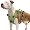 Reflektierendes Taktisches Hundegeschirr mit MOLLE-Gurtband