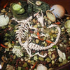 Articulated Dragon Skeleton Aquarium Ornament
