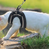 Escape-Proof Cat Harness and Leash Set with Reflective Strips