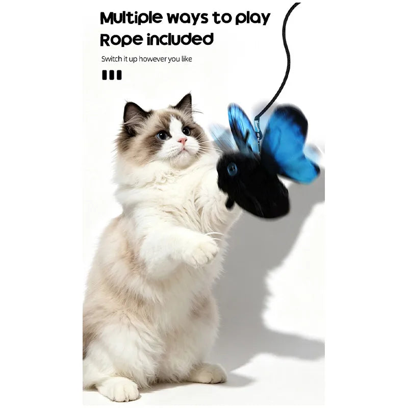 A fluffy gray and white cat playing with a blue butterfly rope toy.