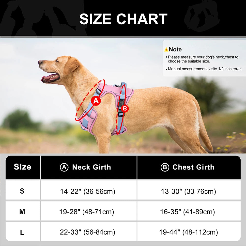 Tabla de tallas mostrando medidas de cuello y pecho para perros pequeños, medianos y grandes.