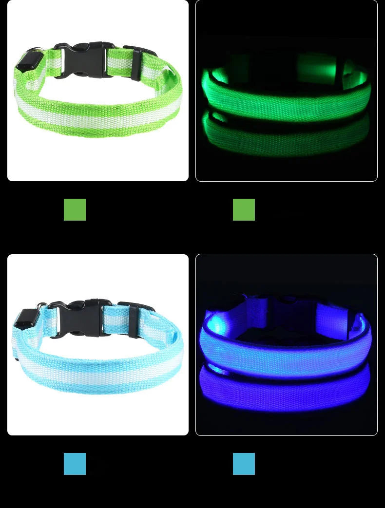 LED-Sicherheits-Hundeleine und Halsband-Set