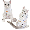 Flauschige graue Katze mit weißer Rettungsweste und kleinen Spielzeugen