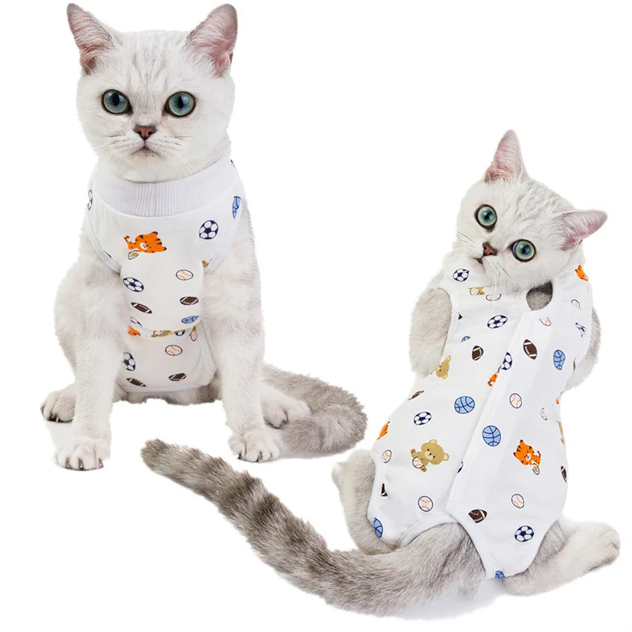 Flauschige graue Katze mit weißer Rettungsweste und kleinen Spielzeugen