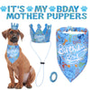 Pet Birthday Party Accessory Set with Bandana, Tutu Skirt & Hat