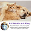 Lavender Oil Dog Deodorizer Spray