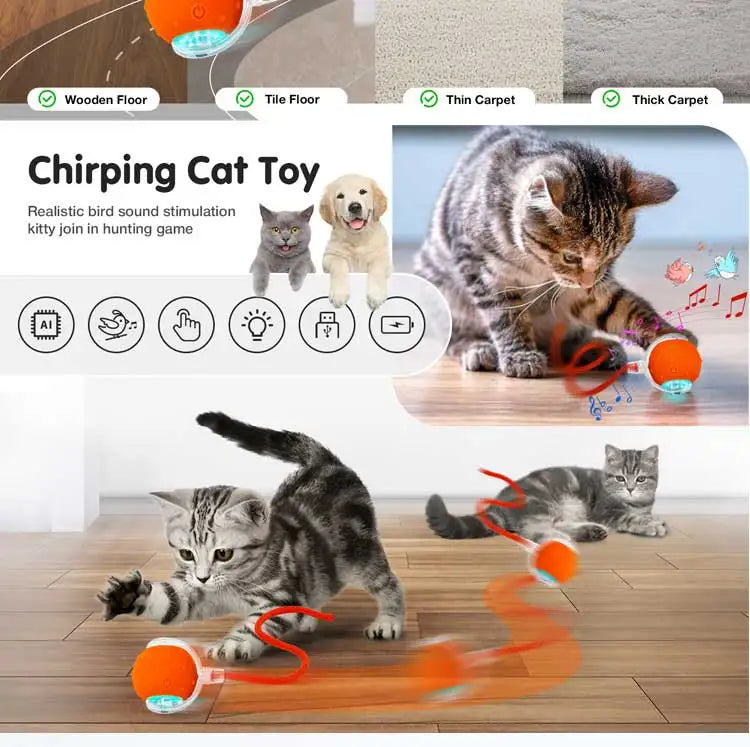 Interactive Chirping Cat Toy Ball with Motion Activation