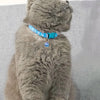 Bunte Schleifen-Hundehalsband mit Glocke