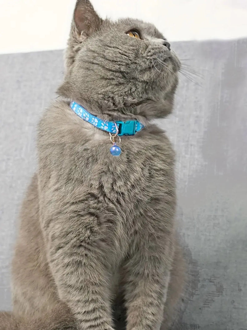 Bunte Schleifen-Hundehalsband mit Glocke