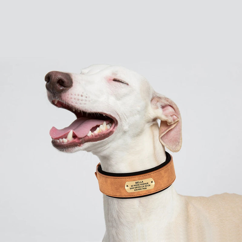 Wide Personalized PU Leather Dog Collar With Custom Name Tag