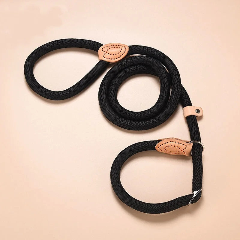 Robbe, verstellbare Nylon-Hundeleine