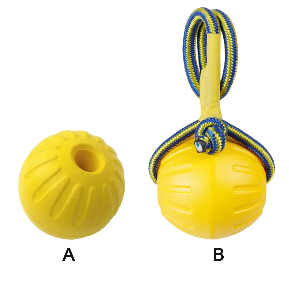 Durable Rubber Fetch Ball for Dogs and Cats