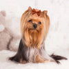 Handmade Dog Bows with Rubber Bands - Polka Dot & Solid Styles