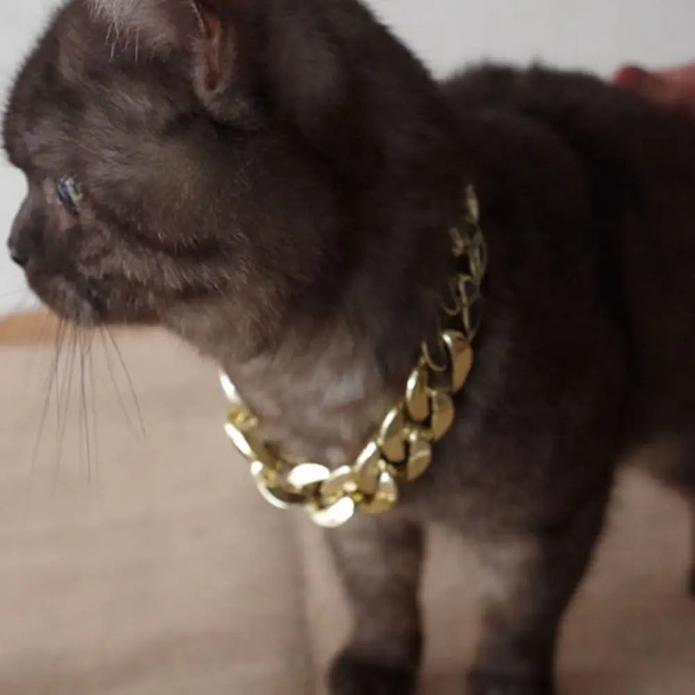 Adjustable Gold Chain Pet Necklace for Cats and Dogs