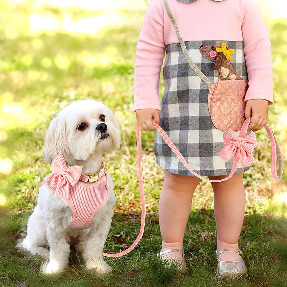 Ein junges Mädchen in rosa Kleid und kariertem Rock hält ein rosa Hundehalteset mit dekorativer Halskette.